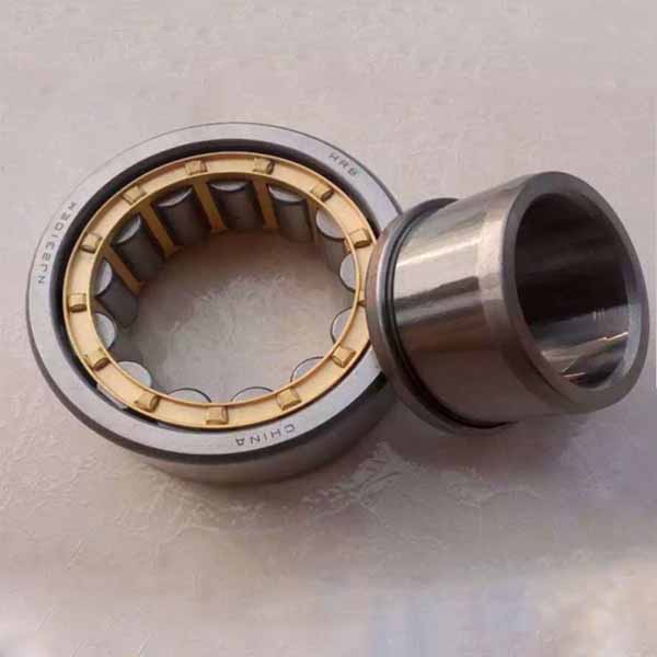 Single row cylindrical roller bearings NJ2310