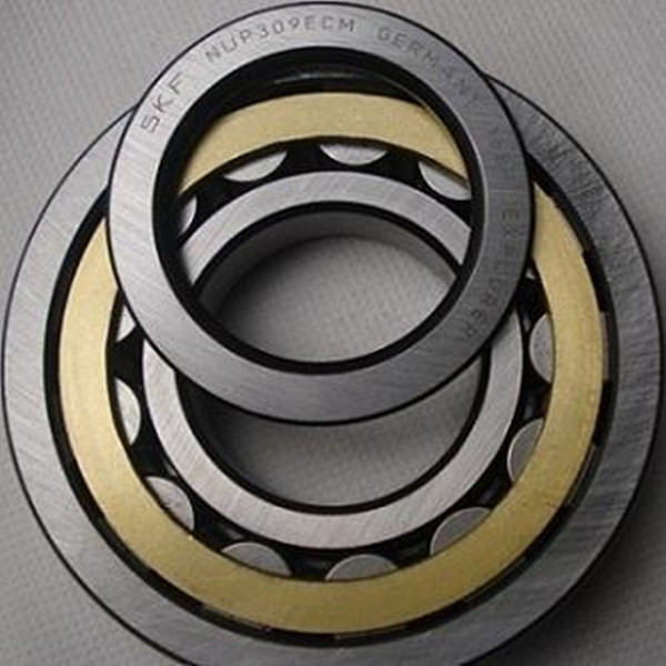 High precision SKF bearing NUP 309 ECM cylindrical roller bearing in best price