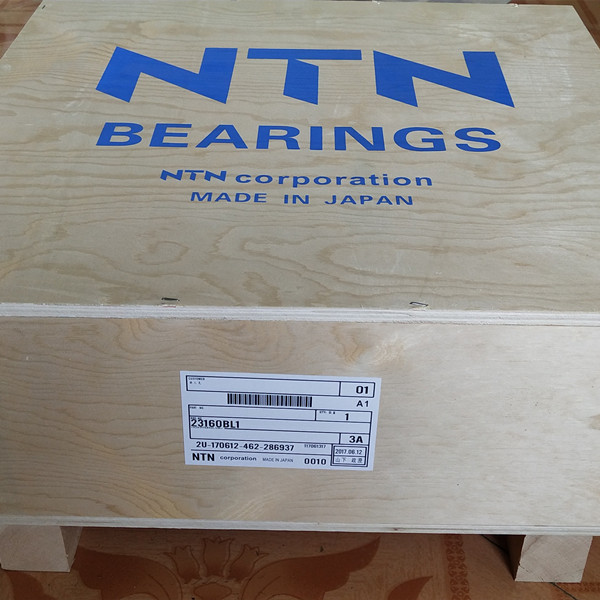 23160 BL1 double row Spherical roller bearing - NTN Aligning roller Bearing