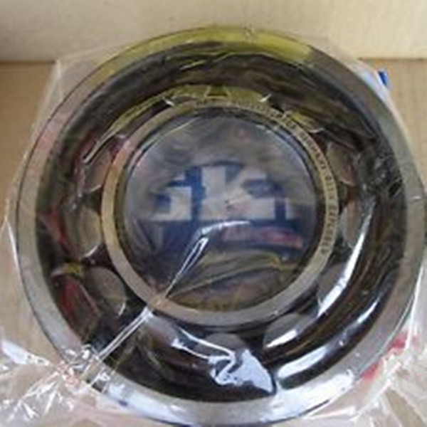 Hot sale NU2313E SKF cylindrical roller bearing in stock - 65*140*48mm