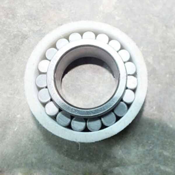 Chrome steel GCr15 cylindrical roller bearing F 219593